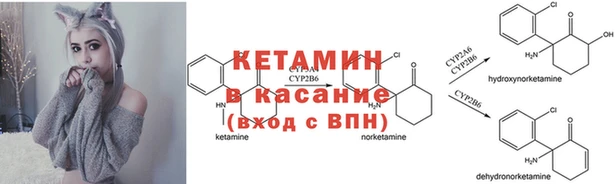 трава Инта