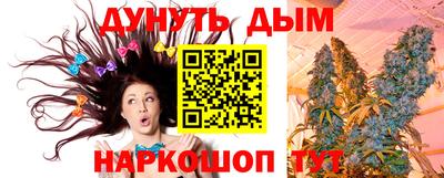 прущие крисы Гатчина