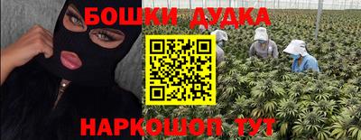 прущие крисы Гатчина
