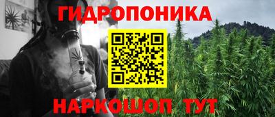 прущие крисы Гатчина