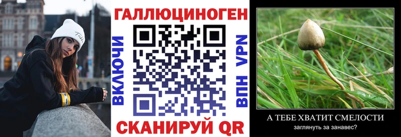 Галлюциногенные грибы Psilocybe Азнакаево