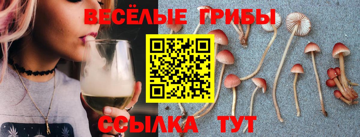 купить наркотики сайты  Псилоцибиновые грибы мухоморы  Вход с VPN  Псилоцибиновые грибы мицелий  Азнакаево 