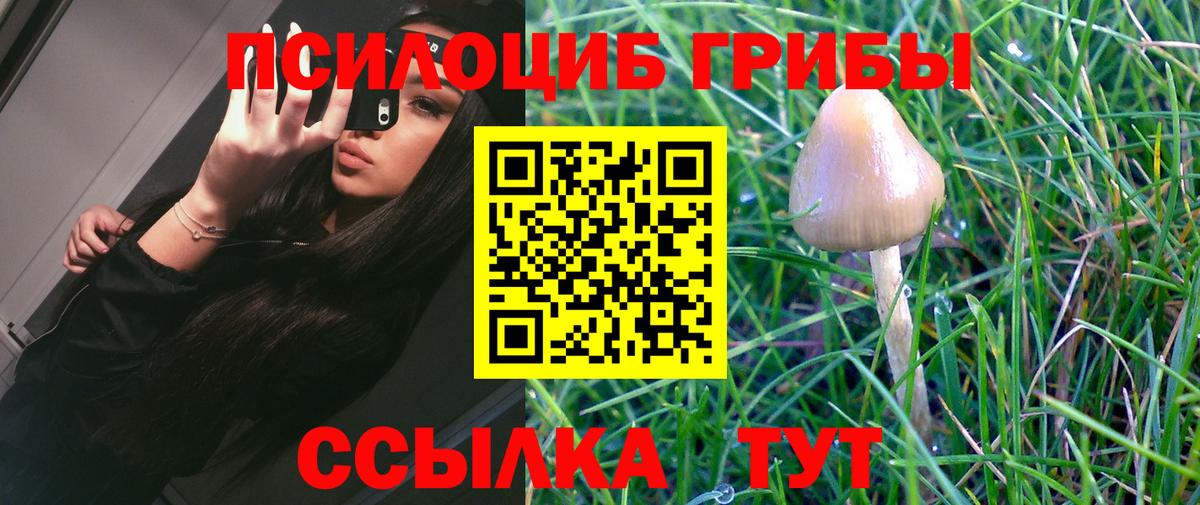 Галлюциногенные грибы Cubensis  Вход с VPN  Псилоцибиновые грибы прущие грибы  Азнакаево 