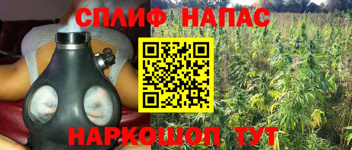 МЕФ Азнакаево